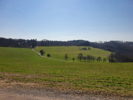 Weitblick auf der Höhe