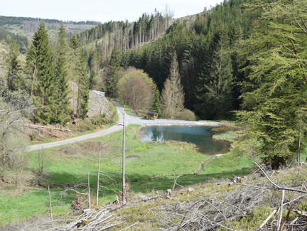 Blick auf den ehemaligen Floßteich im Langebachtal