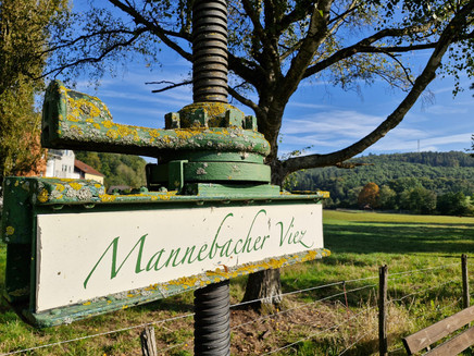 Mannebacher Viez