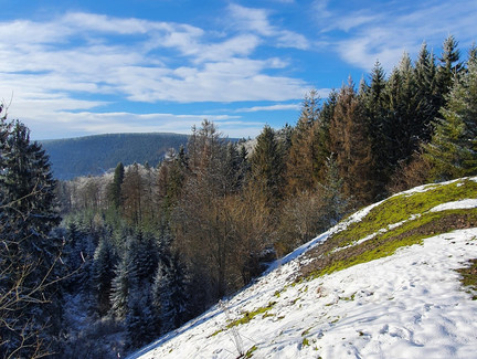 Griffelschieferhalde