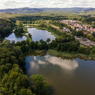 Klosterteiche Walkenried