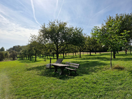 Rest area at the Kolmet viewpoint