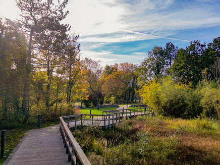 Kurpark Bernkastel-Kues