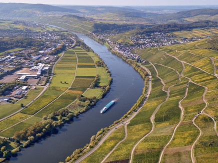 Weinlandschaft bei Lieser