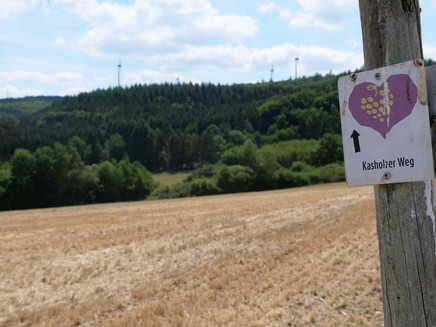 Wegweiser Kasholzer Weg