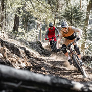 Zwei Downhill Biker auf dem Heartbeat Trail von Beatenberg zur Beatenbucht