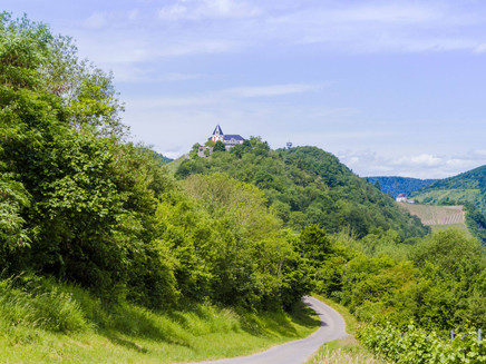 Mosel - Sights - Marienburg - Hike - Vineyards - Zeller Land