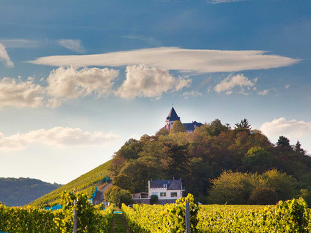 Mosel - Sights - Marienburg - Vineyard - Sun - Zeller Land