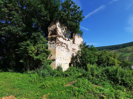 Moselcamino Zell-Kaimt