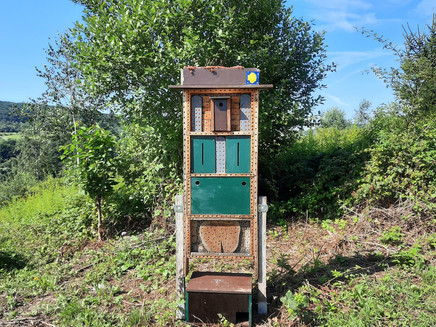 On the Moselcamino through the Zeller Land