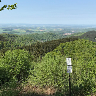 Aussicht Ravensberg