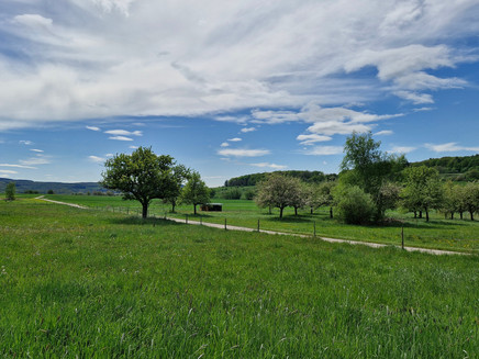 Radweg im Konzer Tälchen bei Obermennig