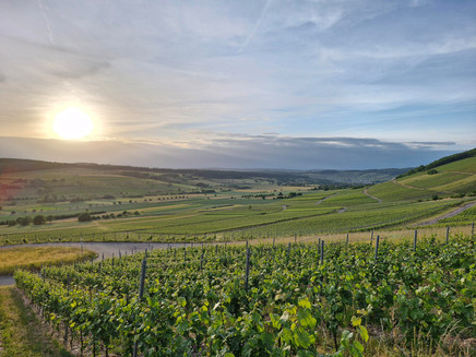 Panoramaschaukel Oberemmel (02)