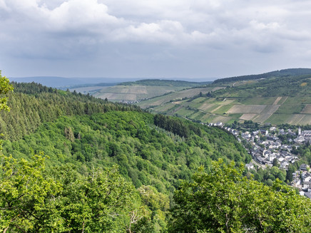 Blick von der Naumeter Kupp