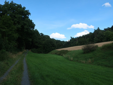 Rundweg Weinberg Kulm