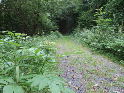 Rundweg Weinberg Kulm