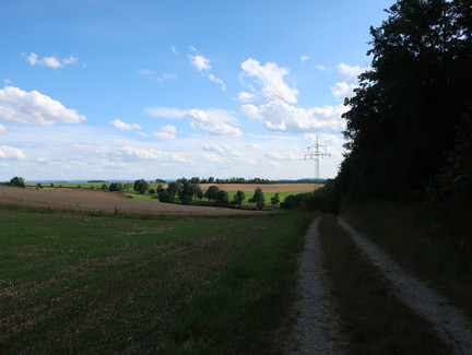 Rundweg Weinberg Kulm