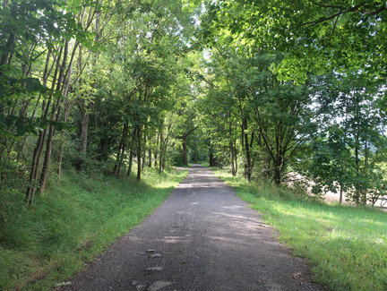 Rundweg Weinberg Kulm