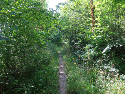 Rundweg Weinberg Kulm