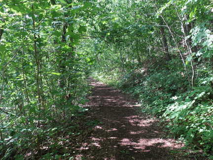 Rundweg Weinberg Kulm