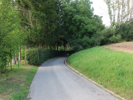 Rundweg Weinberg Kulm