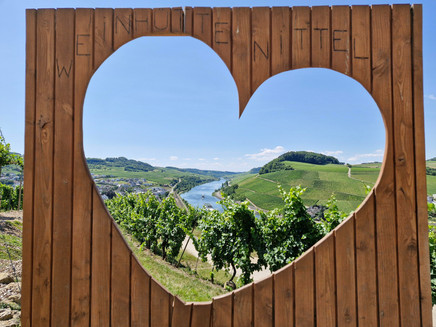Weinhütte im Leiterchen Nittel (02)