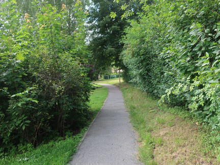 Schöner Weg durch Grub am Forst