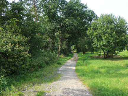 Schöner Weg in Grub am Forst