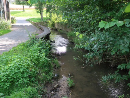 Am Bach entlang in Grub am Forst