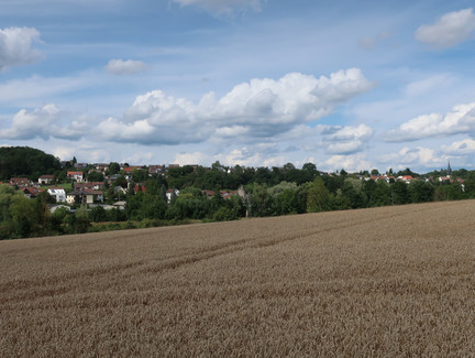 Schöner Blick auf Grub am Forst