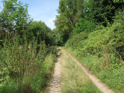 Rund um den Fechheimer Berg