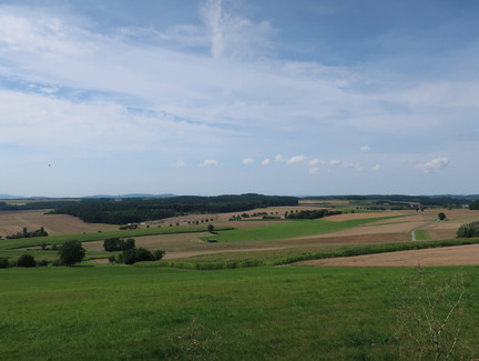 Blick über die Felder bei Fechheim
