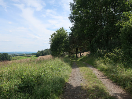Rund um den Fechheimer Berg