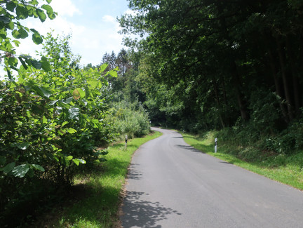 Rund um den Fechheimer Berg