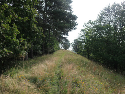 Der Weg zur Aussichtsbank auf dem Plestener Spitzberg