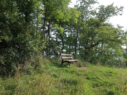 Die Aussichtsbank auf dem Plestener Spitzberg