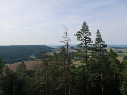 Ausblick vom Plestener Spitzberg