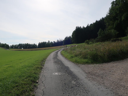 Zum Plestener Spitzberg