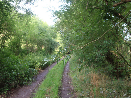 Wanderung Zum Plestener Berg