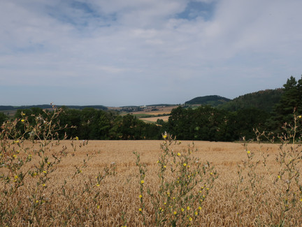 Blick über die Felder bei Plesten