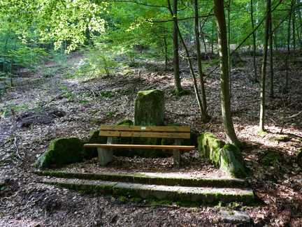 Rastmöglichkeit auf dem Wanderweg am Muppberg