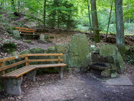 Rastmöglichkeit auf dem Wanderweg am Muppberg
