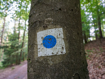 Wegmarkierung am Muppberg-Rundweg