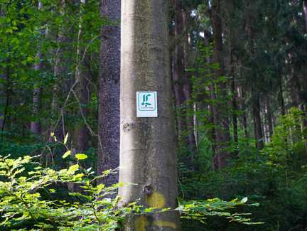 Ein Abschnitt des Weges ist mit dem Lutherweg-Zeichen markiert.