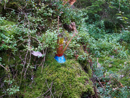 Lustiger Waldbewohner