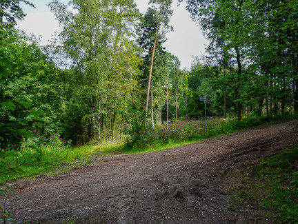 Abzweig Richtung Burgruine Fürth am Berg