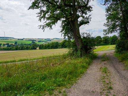 Rückweg nach Fechheim