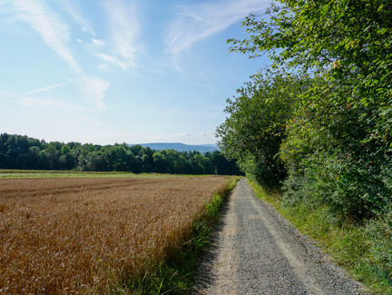 Kurz nach dem Verlassen von Schneckenlohe