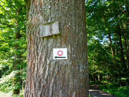 Wir folgen diesem Zeichen.