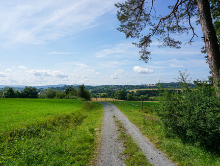 Forstweg Richtung Marktgraitz